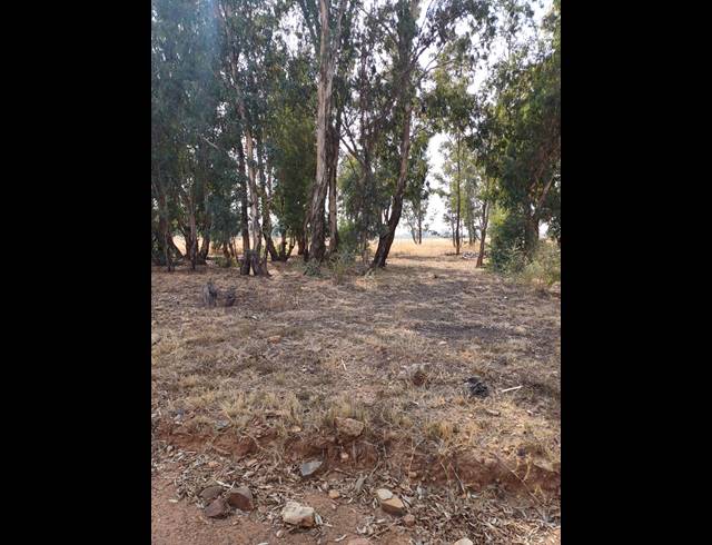 16HA VACANT LAND FOR SALE IN WALKER FRUIT FARMS